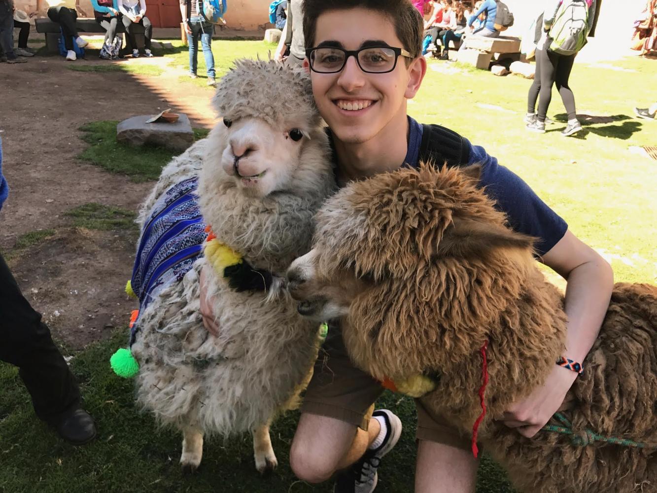 Senior Rudy Malcolm poses with two alpacas in one of the farms on the countryside of Cusco.