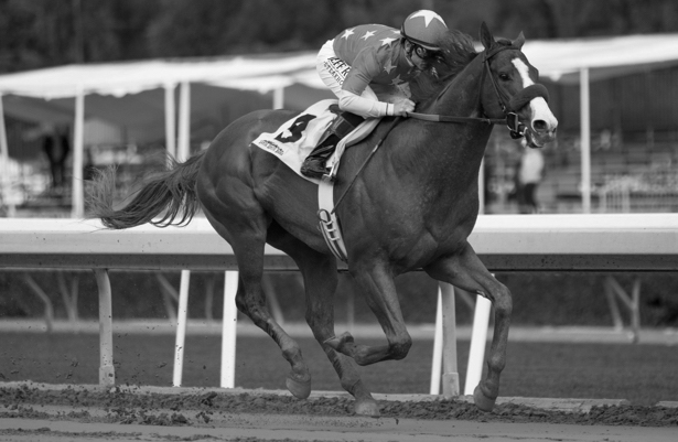 Justify+racing+at+the+Kentucky+Derby.+He+won+the+race+by+2+and+a+half+lengths+