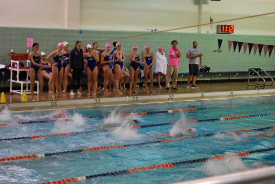 Girls+swimming+competes+against+Great+Neck+South+at+an+away+meet+on+Sept.+28.+The+girls+won+with+a+final+score+of+95-91.