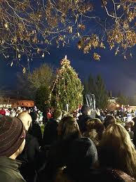 Port Washington residents crowd around the decorated Landmark Christmas tree as they eagerly await its lighting.