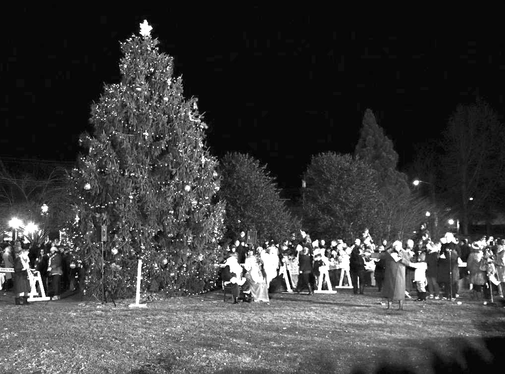 Christmas Tree Lighting 1 The Schreiber Times